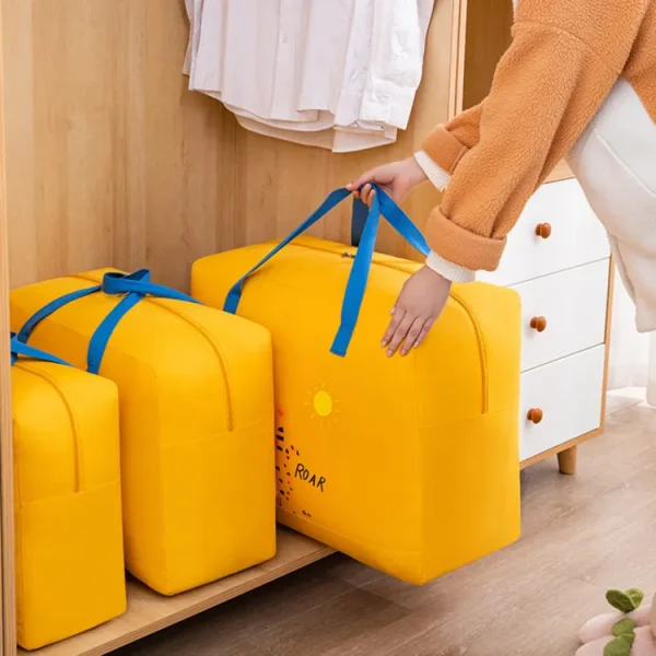 storage-bags-cartoon-1